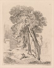 Liber Studiorum: Plate 18, Trees at Norwich Thorp, Norfolk, 1838. Creator: John Sell Cotman (British, 1782-1842).