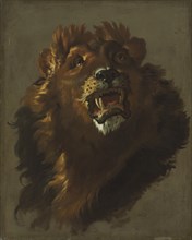 Lion, 1750s. Creator: Giuseppe Baldrighi (Italian, 1723-1803).