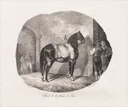 Lithographed Studies of Horses: Pl. 7, Horse from the Caen Plain , 1822. Creator: Théodore Géricault (French, 1791-1824); Gihaut.