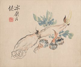Lotus Root and Adder's Tongue. Creator: Tsubaki Chinzan (Japanese, 1801-1854).
