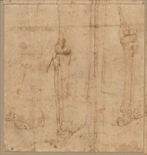 Lower Half of Skeleton from the Back, early 1540s. Creator: Battista Franco (Italian, c. 1510-1561).