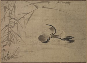 Mandarin Duck, 1500s. Creator: Sesson Sh?kei (Japanese, 1504-1589).