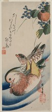 Mandarin Ducks and Flowering Plants, early or mid-1830s. Creator: Ando Hiroshige (Japanese, 1797-1858).