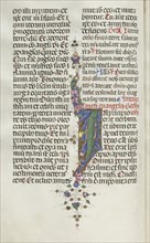 Missale: Fol. 22v: Foliage with Fish, 1469. Creator: Bartolommeo Caporali (Italian, c. 1420-1503).