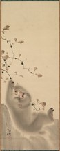 Monkey Hanging on to a Branch, 1780. Creator: Mori Sosen (Japanese, 1747-1821).