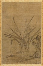 Narcissus and Rocks, 1368-1644. Creator: Lu Tianru (Chinese, first half of 1400s).