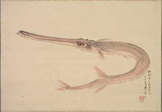 Needlefish (Yagara), 1870. Creator: Raisho Nakajima (Japanese, 1796-1871).
