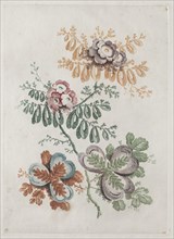 New Suite of Portfolios of Flowers Ideal to Use for Designing and Painting: Floral Fantasies, c. 179 Creator: Anne Allen (British).