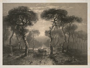 Oeuvres de A. Calame, No. 13: Forêt de Sierre en Valais, 1843 (published 1851). Creator: Jacomme & Cie. R. de Lancry, 12, Paris; Alexandre Calame (Swiss, 1810-1864); F. Delarue, r. J.J. Rouseau, 10, P...