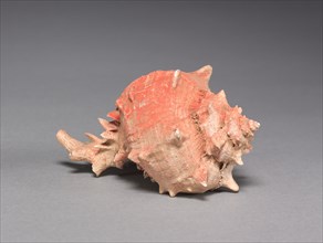 Offering Group: Large Shell, c. 800-1200(?). Creator: Unknown.