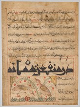 On the Benefits of Quails (verso) from a Manafi al-Hayawan..., c. 1300. Creator: Unknown.