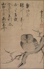 Owl, 1630-1640. Creator: Bensaku Tsuda (Japanese).