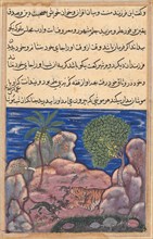 Page from Tales of a Parrot (Tuti-nama): Fifteenth night: The cat attacks the mice..., 1558-1560. Creator: Unknown.