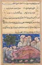 Page from Tales of a Parrot (Tuti-nama): Fifteenth night: The lion disturbed by mice..., 1558-1560. Creator: Unknown.