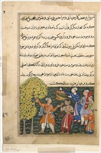 Page from Tales of a Parrot (Tuti-nama): Ninth night: The king plucks fruit from the Tree..., c. 156 Creator: Unknown.