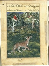 Page from Tales of a Parrot (Tuti-nama): Thirty-first night: The donkey, in a tiger?s skin..., 1558- Creator: Basavana (Indian, active c. 1560-1600), attributed to.