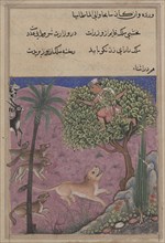 Page from Tales of a Parrot (Tuti-nama): Twenty-first night: The wolf and the jackal..., c. 1560. Creator: Unknown.