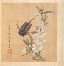Paintings after Ancient Masters: A Bird and Peach-Blossom Branch, 1598-1652. Creator: Chen Hongshou (Chinese, 1598/99-1652).