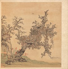 Paintings after Ancient Masters: An Ancient Tree, 1598-1652. Creator: Chen Hongshou (Chinese, 1598/99-1652).
