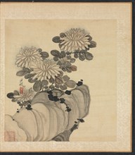Paintings after Ancient Masters: Chrysanthemum and Rock, 1598-1652. Creator: Chen Hongshou (Chinese, 1598/99-1652).