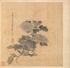 Paintings after Ancient Masters: Chrysanthemum, 1598-1652. Creator: Chen Hongshou (Chinese, 1598/99-1652).