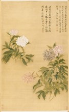 Peonies, 1685. Creator: Yun Shouping (Chinese, 1633-1690).
