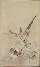 Pheasant and Grasses, late 17th-early 18th century. Creator: Ogata Korin (Japanese, 1658-1716), attributed to.