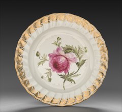 Plate from Dessert Service: Anemone, c. 1800. Creator: Derby (Crown Derby Period) (British).