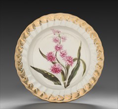 Plate from Dessert Service: Eastern Hyacinth, c. 1800. Creator: Derby (Crown Derby Period) (British).