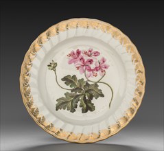 Plate from Dessert Service: Geranium Terabinthinum, c. 1800. Creator: Derby (Crown Derby Period) (British).