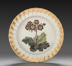 Plate from Dessert Service: Polyanthus, c. 1800. Creator: Derby (Crown Derby Period) (British).