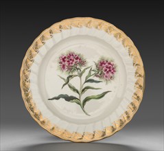 Plate from Dessert Service: Sweet William, c. 1800. Creator: Derby (Crown Derby Period) (British).