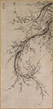 Prunus, 17th century. Creator: Kano Ein? (Japanese, 1631-1697), attributed to.