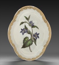 Quatrelobed Dish from Dessert Service: Nettle-leaved Bell Flower, c. 1800. Creator: Derby (Crown Derby Period) (British).