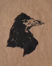 Raven Head. Creator: Edouard Manet (French, 1832-1883).