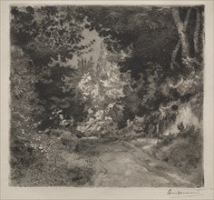 Road to Sèvres, c. 1872. Creator: Félix Bracquemond (French, 1833-1914).