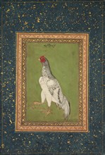 Rooster, c. 1620. Creator: Unknown.