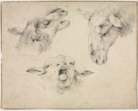 Sheep Heads, second or third quarter 1800s. Creator: Wouter Verschuur (Dutch, 1812-1874).