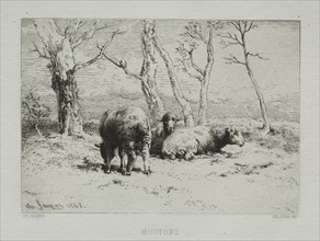 Sheep, 1868. Creator: Charles-Émile Jacque (French, 1813-1894).