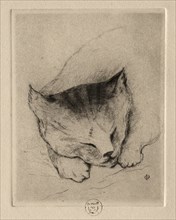Six Etchings: Head of a Kitten, 1895. Creator: Paul Gachet (French, 1828-1909).