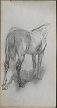 Sketchbook, page 76: Study of a Horse. Creator: Ernest Meissonier (French, 1815-1891).