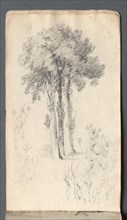 Sketchbook: Tree Study, 1814. Creator: Samuel Prout (British, 1783-1852).