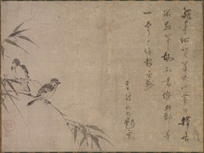 Sparrows and Bamboo, mid- to late 1500s. Creator: Shiken Seid? (Japanese, 1486-1581).