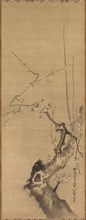 Sparrows on Blossoming Plum, 17th century. Creator: Kano Tan?y? (Japanese, 1602-1674), attributed to.