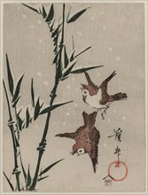 Sparrows, Bamboo and Falling Snow, c. late 1820s. Creator: Keisai Eisen (Japanese, 1790-1848).