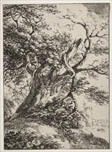 Specimens of Polyautography: Landscape with an Oak Tree, 1803. Creator: Thomas Hearne (British, 1744-1817).