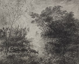 Stags, original impression 1862, printed in 1921. Creator: Charles François Daubigny (French, 1817-1878).