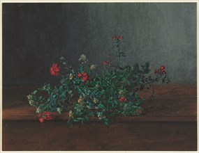 Still Life with Wild Flowers, 1864. Creator: Léon Bonvin (French, 1834-1866).