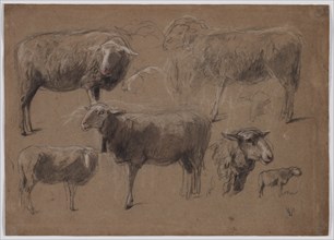 Studies of Sheep, second half 1800s. Creator: Anton Mauve (Dutch, 1838-1888).