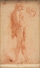 Study of a Standing Male Nude, with a Study of Head in Three-Quarter Profile, c. 1640. Creator: Cecco Bravo (Italian, 1607-1661).